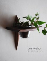 画像: 壁掛け棚【リーフ（leaf)ウォールナットモデル】木製のインテリアグリーン壁掛け飾り棚　