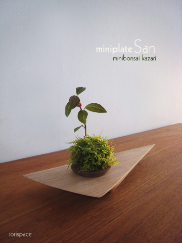 画像1: ミニ盆栽飾り台：miniplateSAN（ミニプレート・サン）